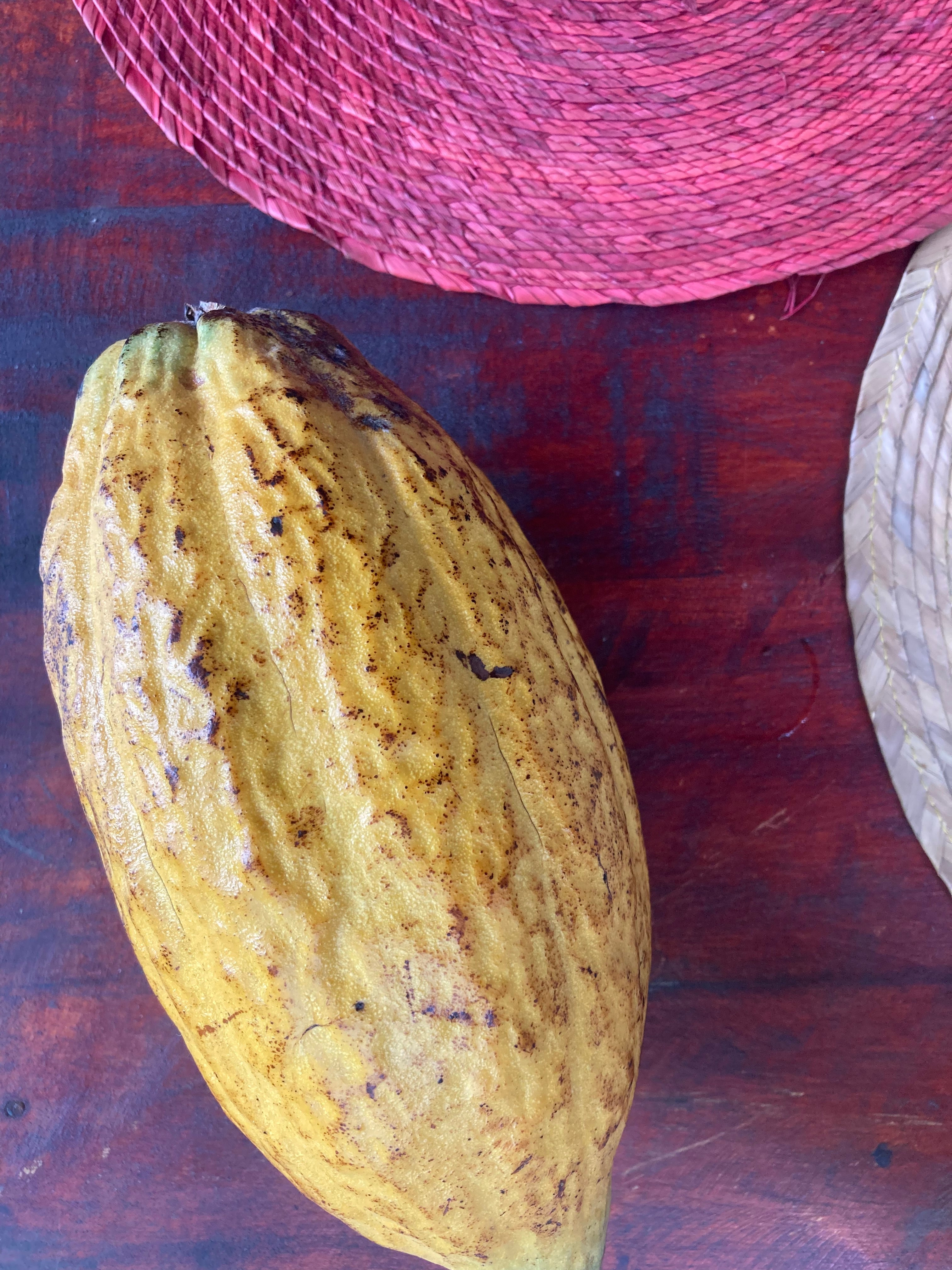 Cacao Through the Lens of Chinese Medicine