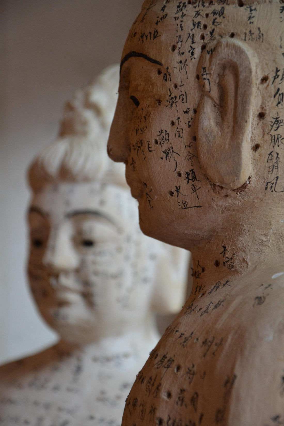 What Your Organs Need in Life, According to Chinese Medicine
