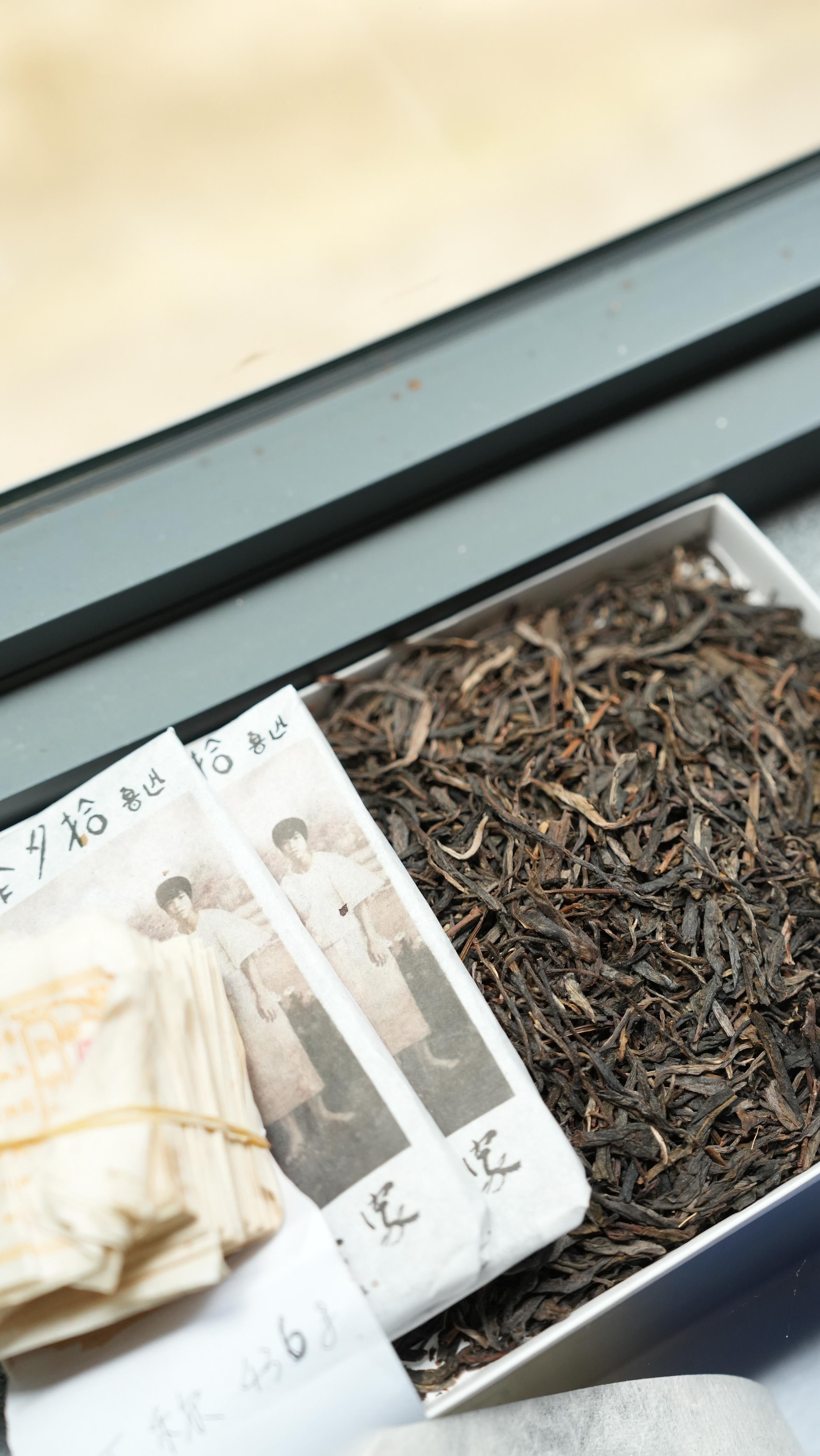 Tea, Time, and Tradition: A Journey to Yunnan’s Ancient Forests
